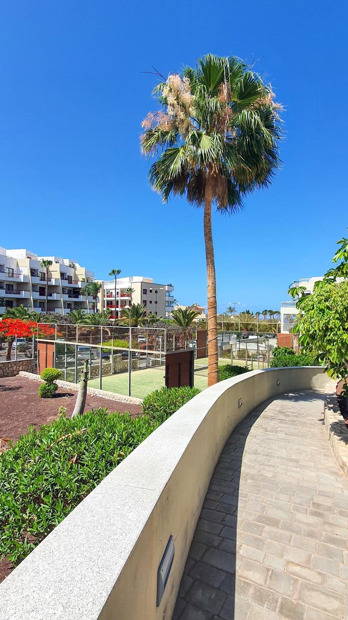 Terraza Sea & Sun Appartement Palm-mar Buitenkant foto